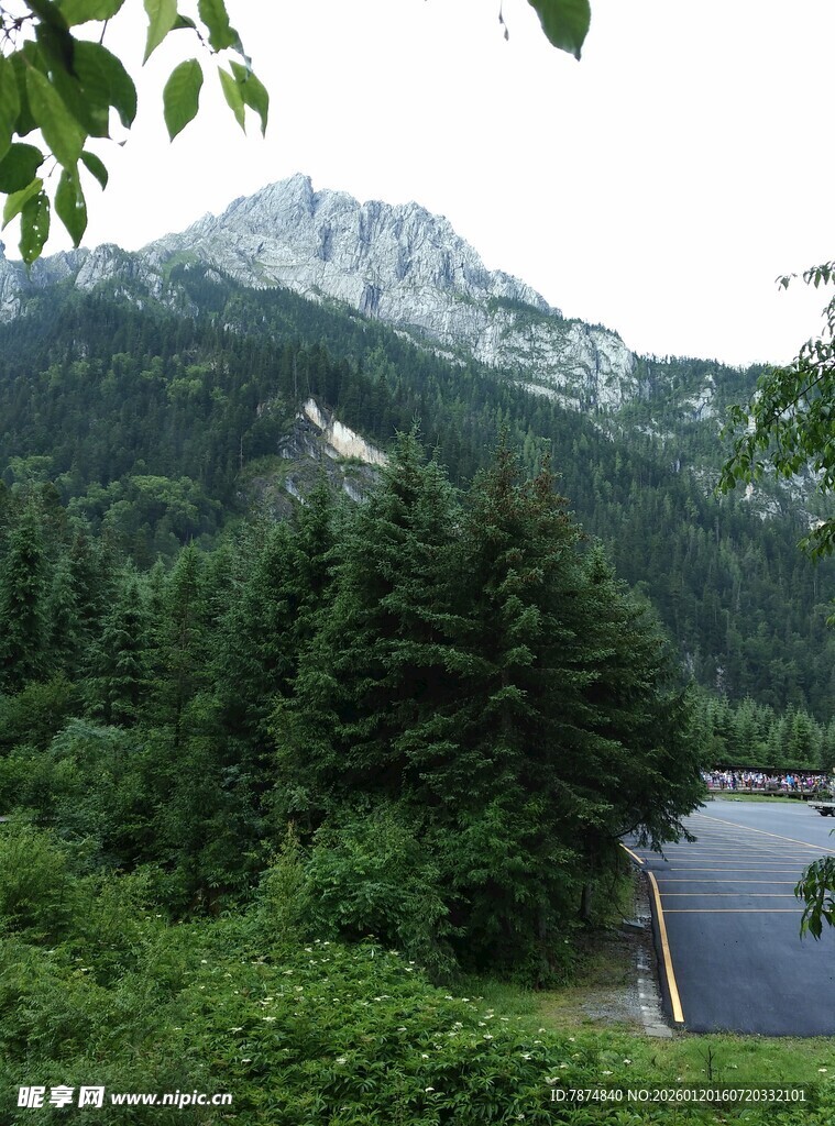 山间湖畔绿意盎然景色