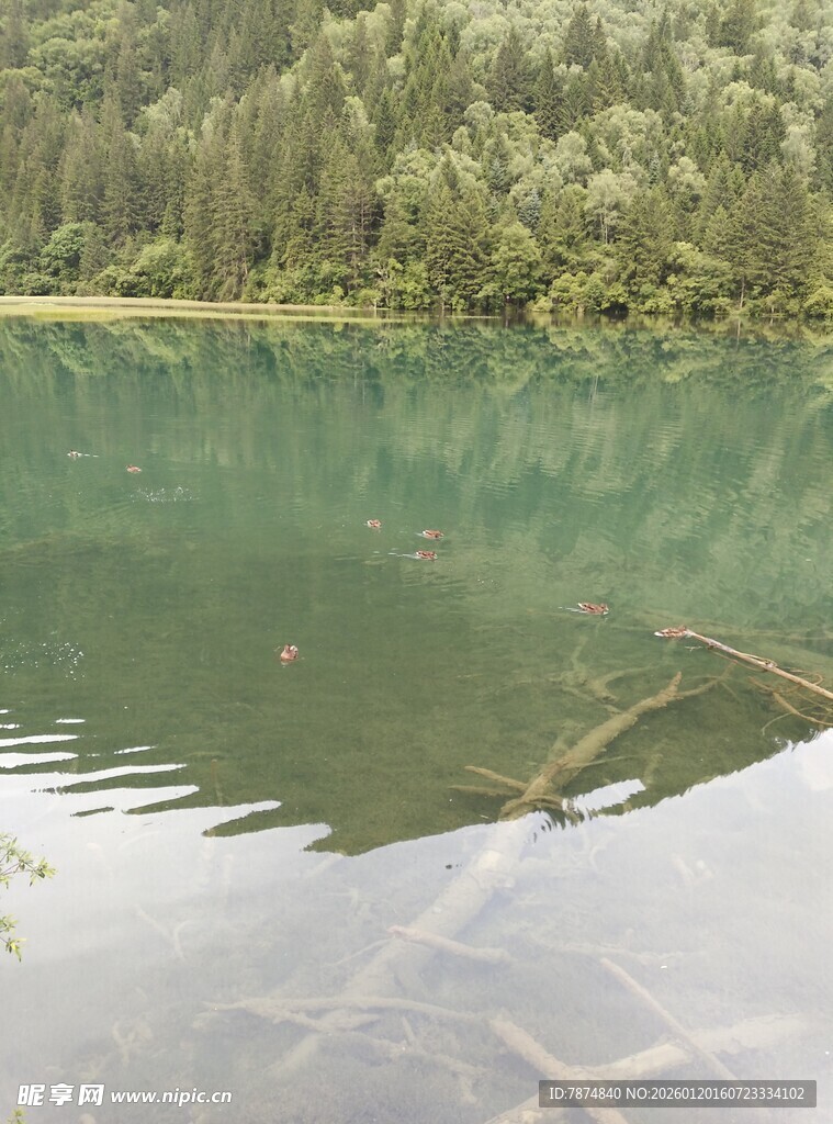 宁静碧绿湖水与山林倒影