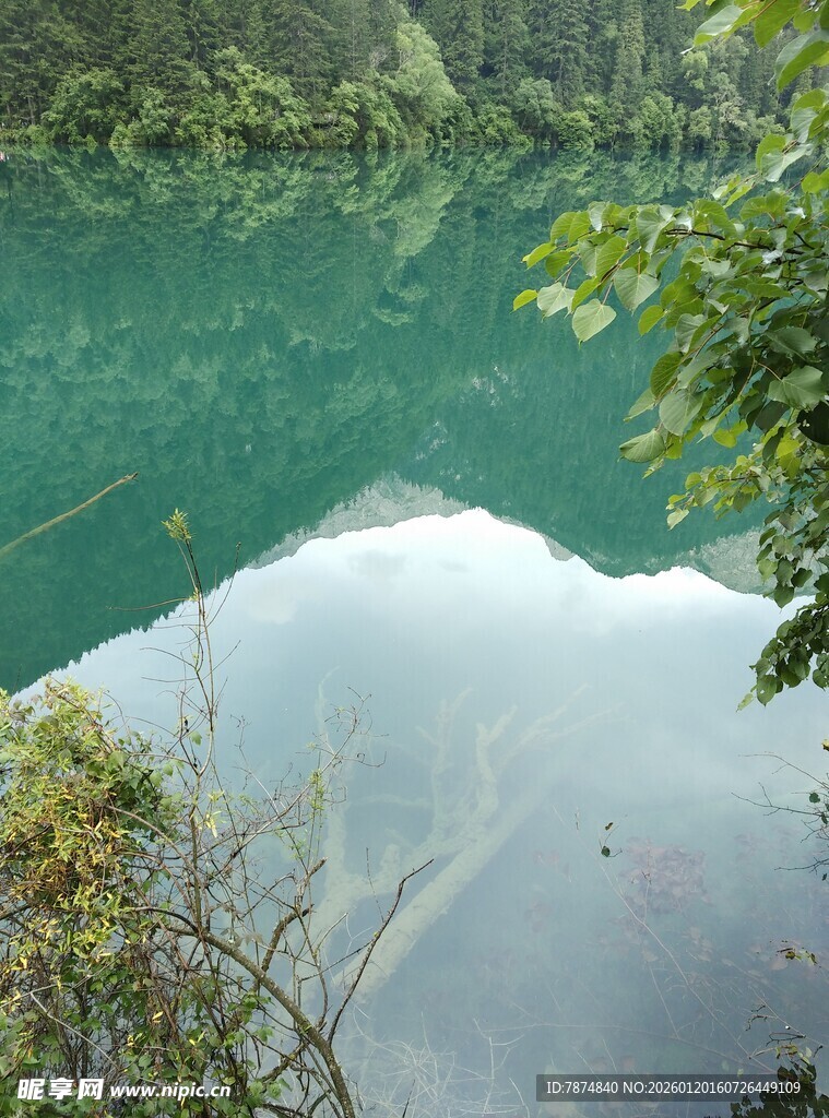 碧绿湖水映山林美景