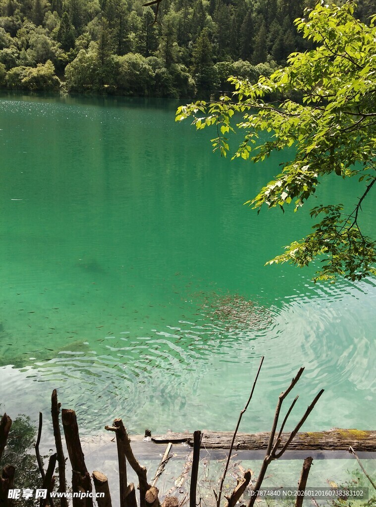 翠绿湖水与岸边景致