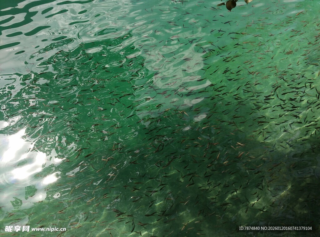 清澈碧绿的水下景象