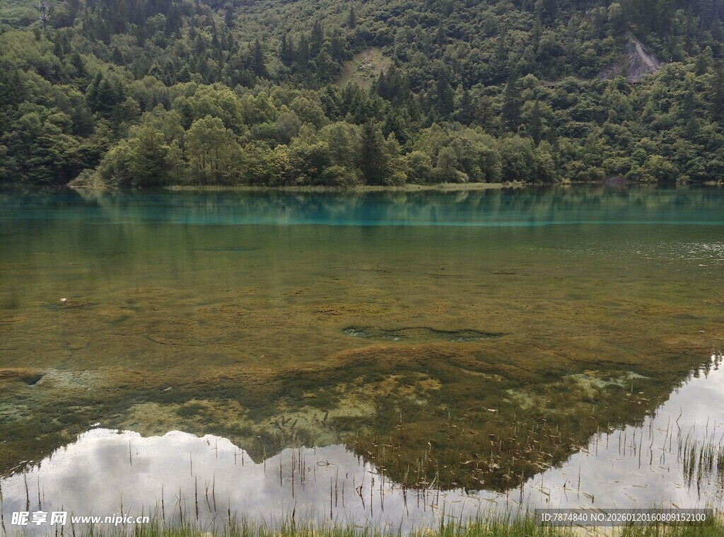 清澈湖水与葱郁山林美景