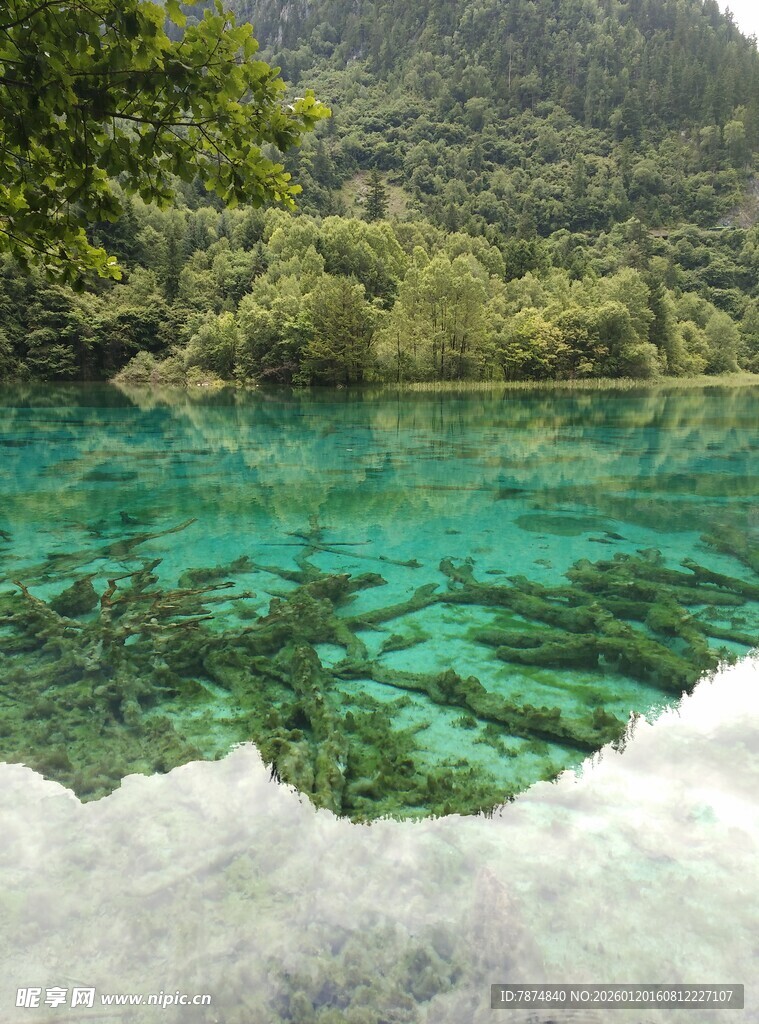 清澈碧绿的山间幽潭