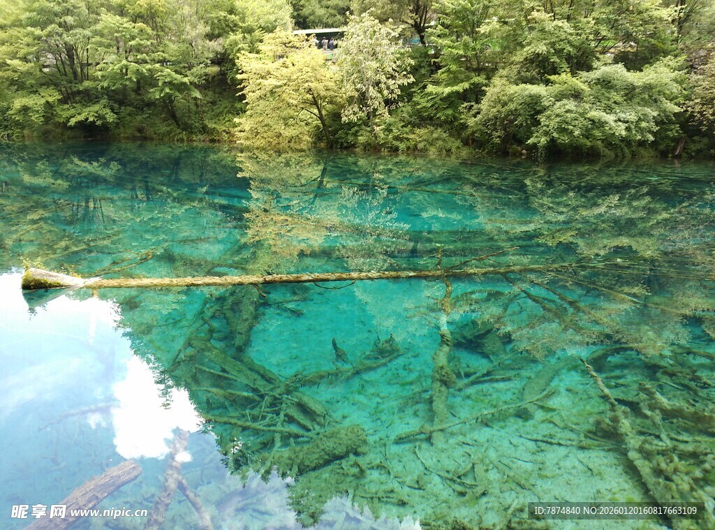 清澈见底的幽美山间湖水