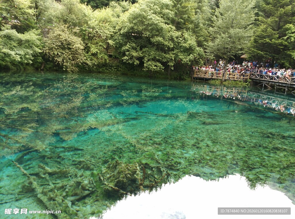 清澈碧绿的幽美湖水景观