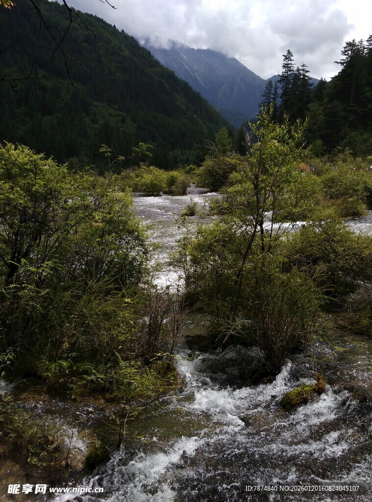山间溪流 绿意盎然的景致