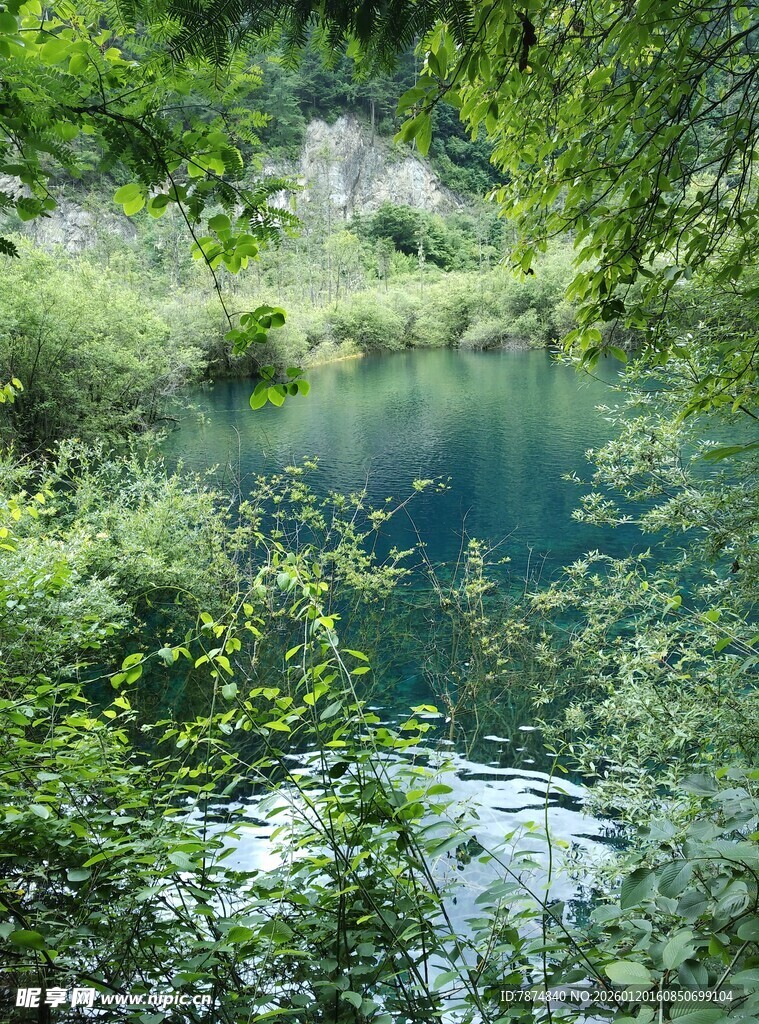 清幽山林间的澄澈溪流