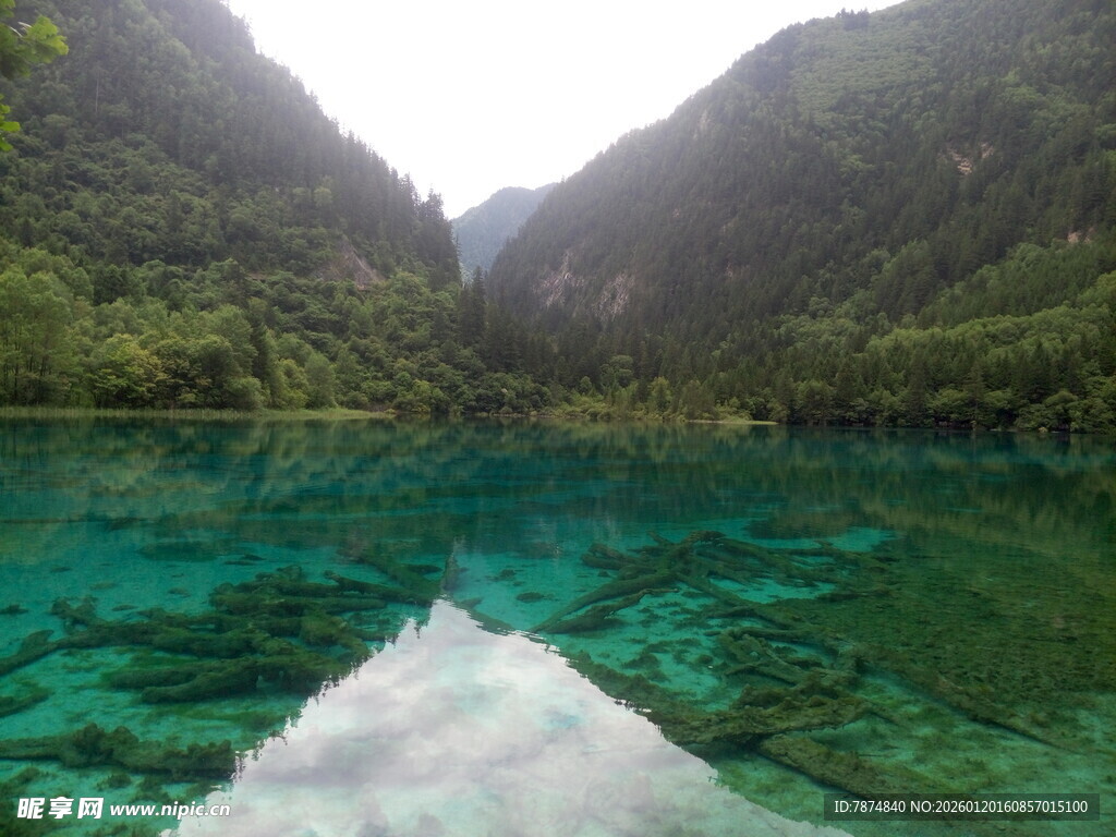 清澈碧绿的山间幽美水域
