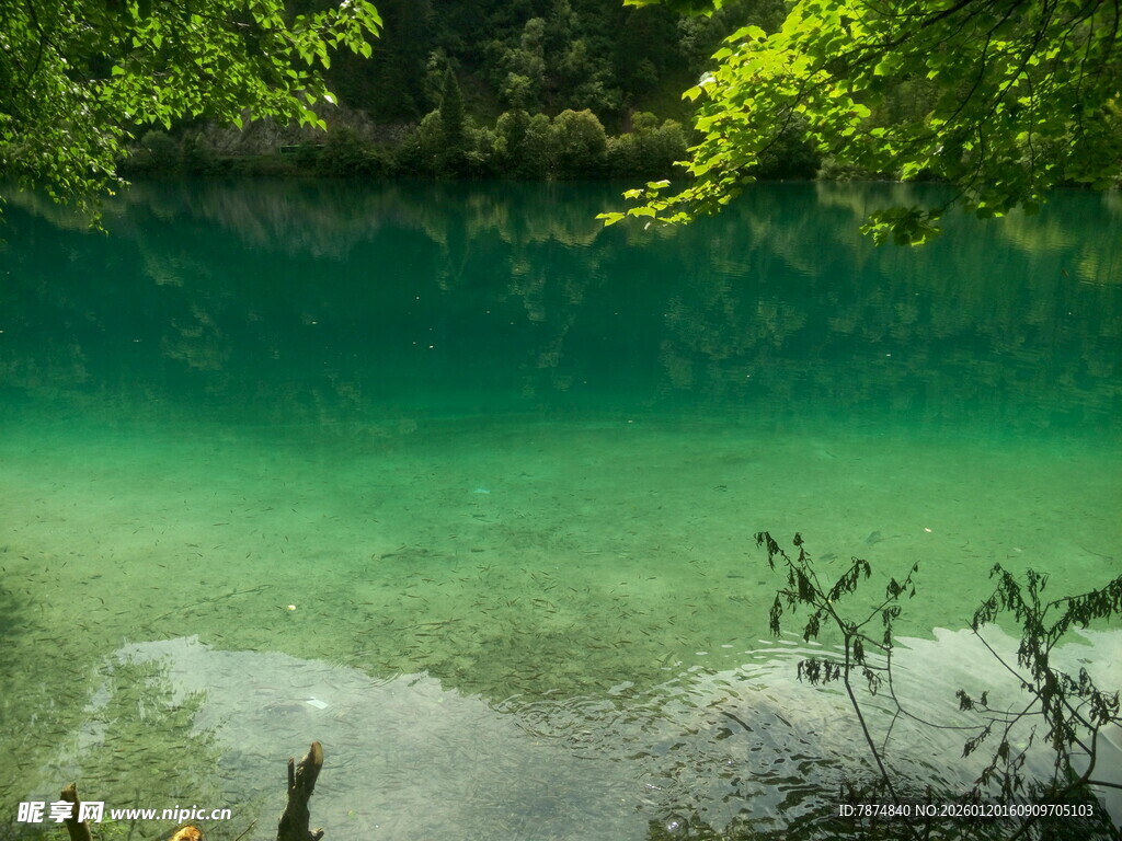 碧绿清澈的山间幽潭