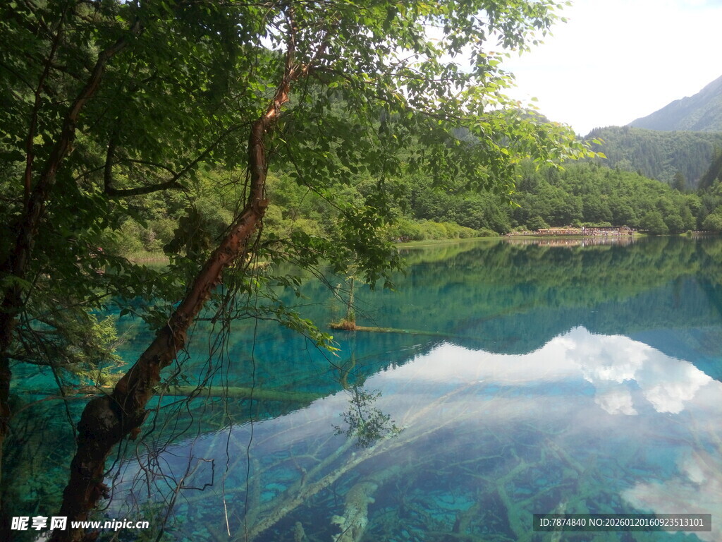 梦幻清澈的山林湖泊美景