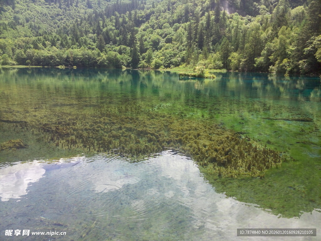 翠绿山林间的澄澈湖水
