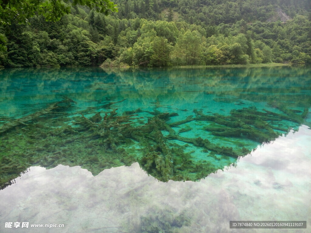 清澈碧绿的山间幽美湖水