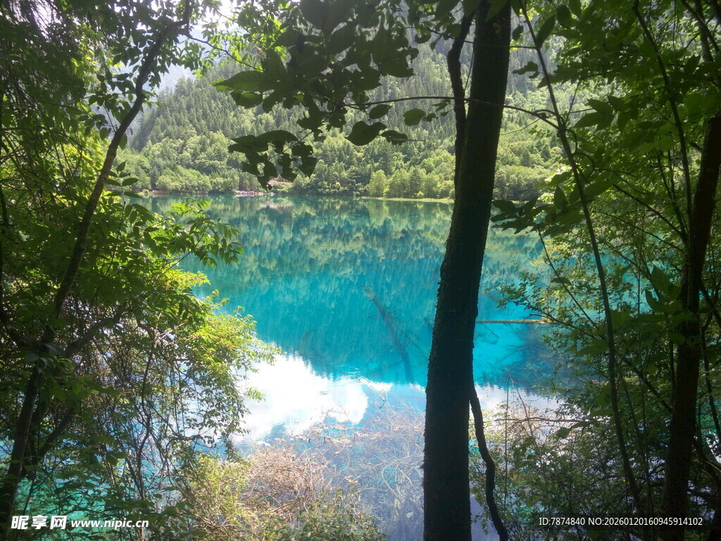 林间蓝湖美景