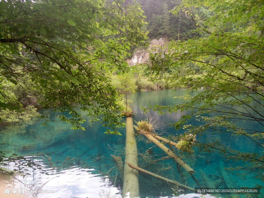 清澈幽蓝的森林湖泊美景