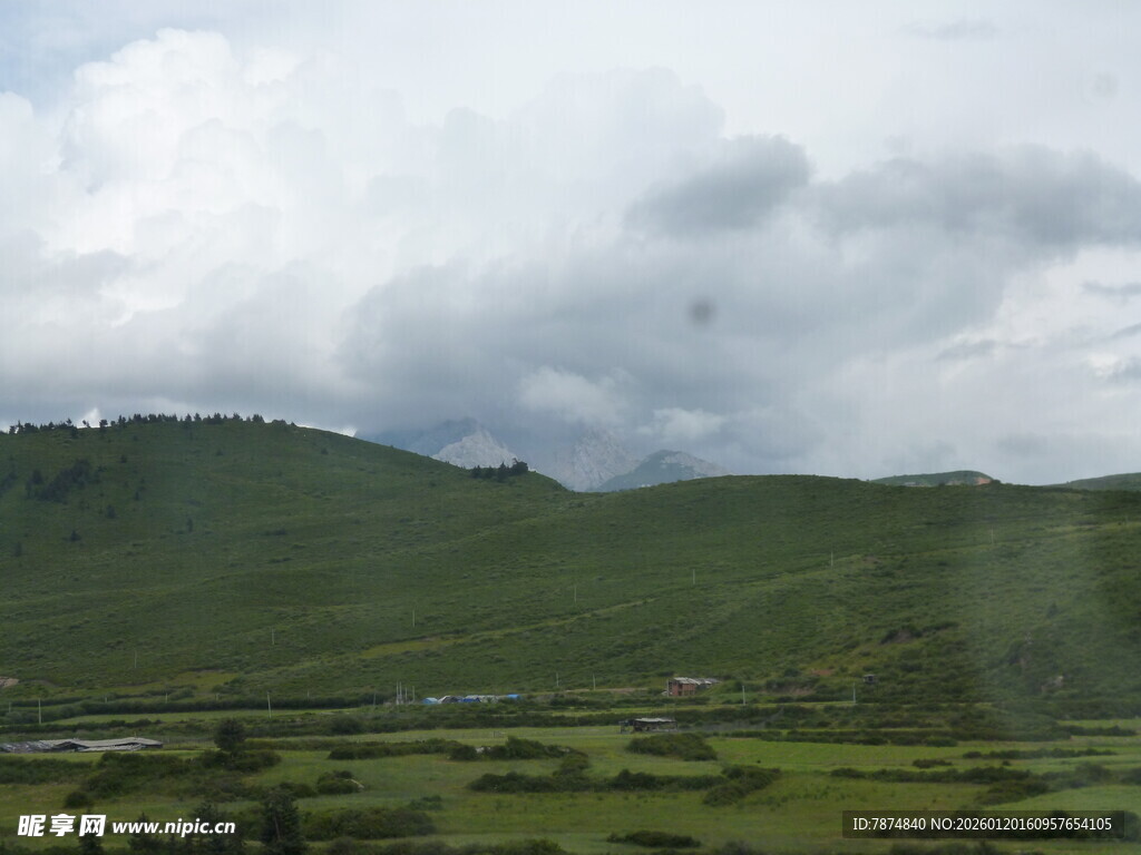 草原风光 绿意盎然的景致