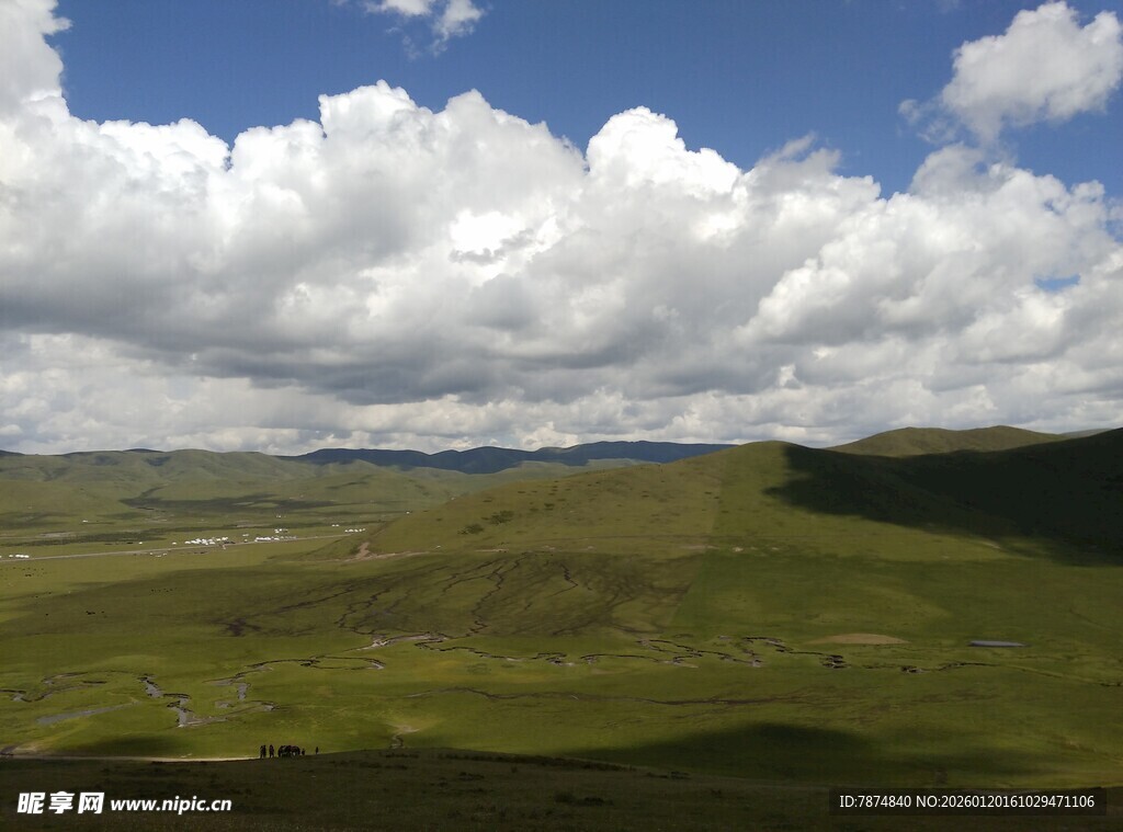 草原风光 蓝天白云绿地