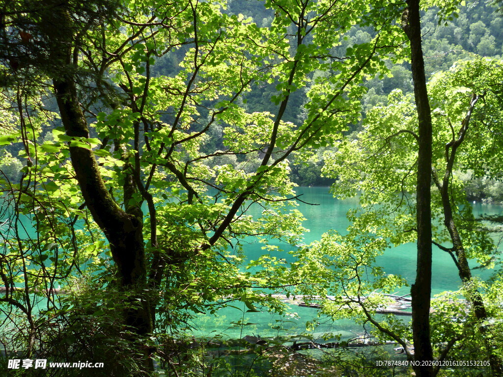 林间翠湖 自然清新景致