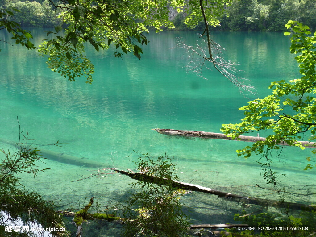 碧绿幽潭间的自然美景
