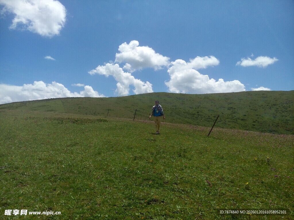 草原漫步 畅享自然之美