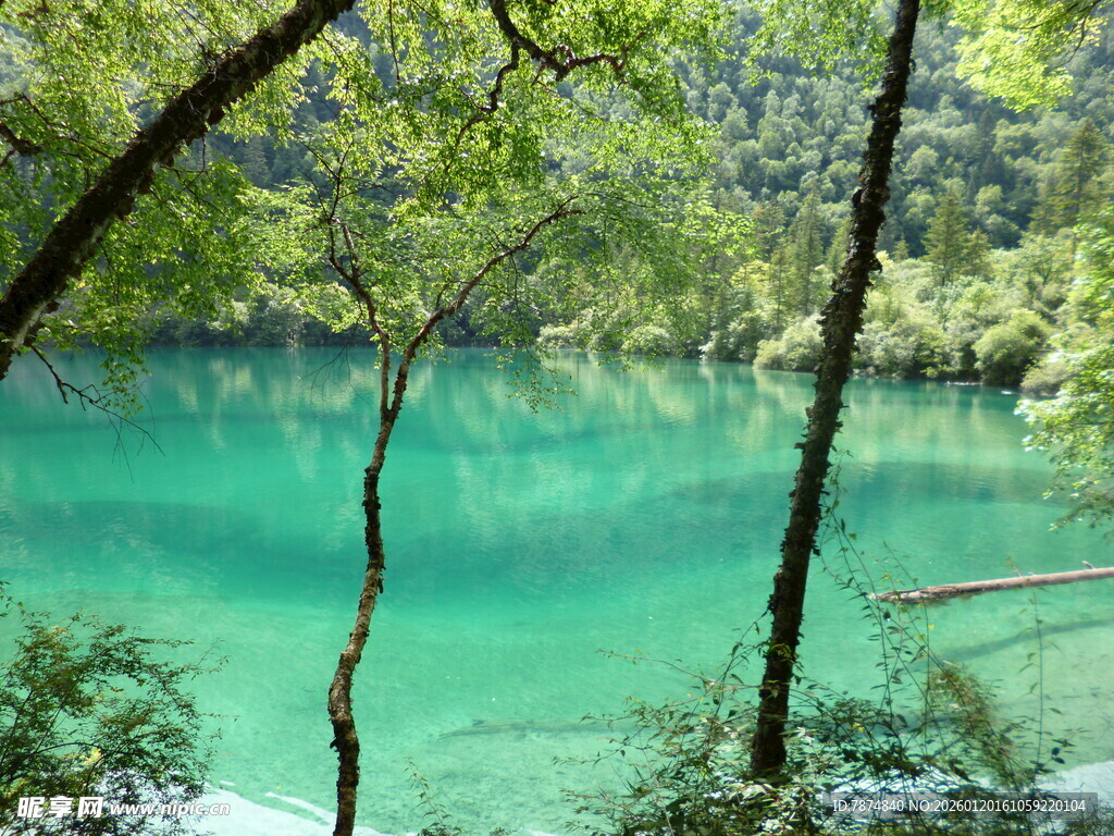 梦幻蓝绿潭 林间清幽景