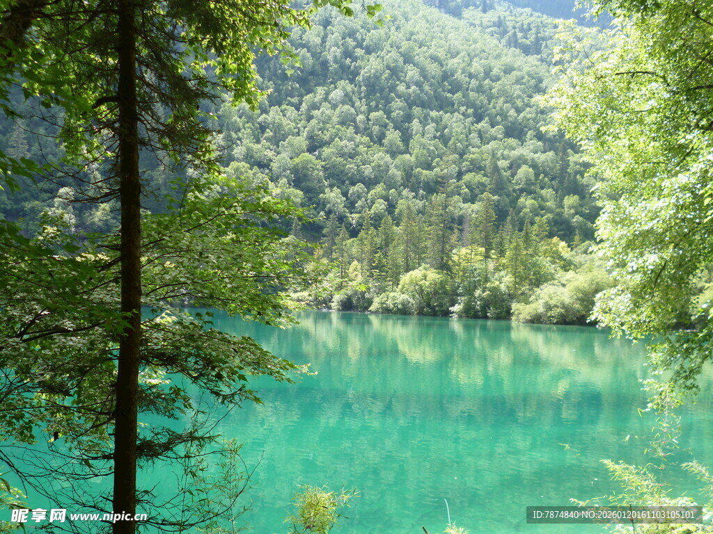 翠绿山林间的澄澈碧湖