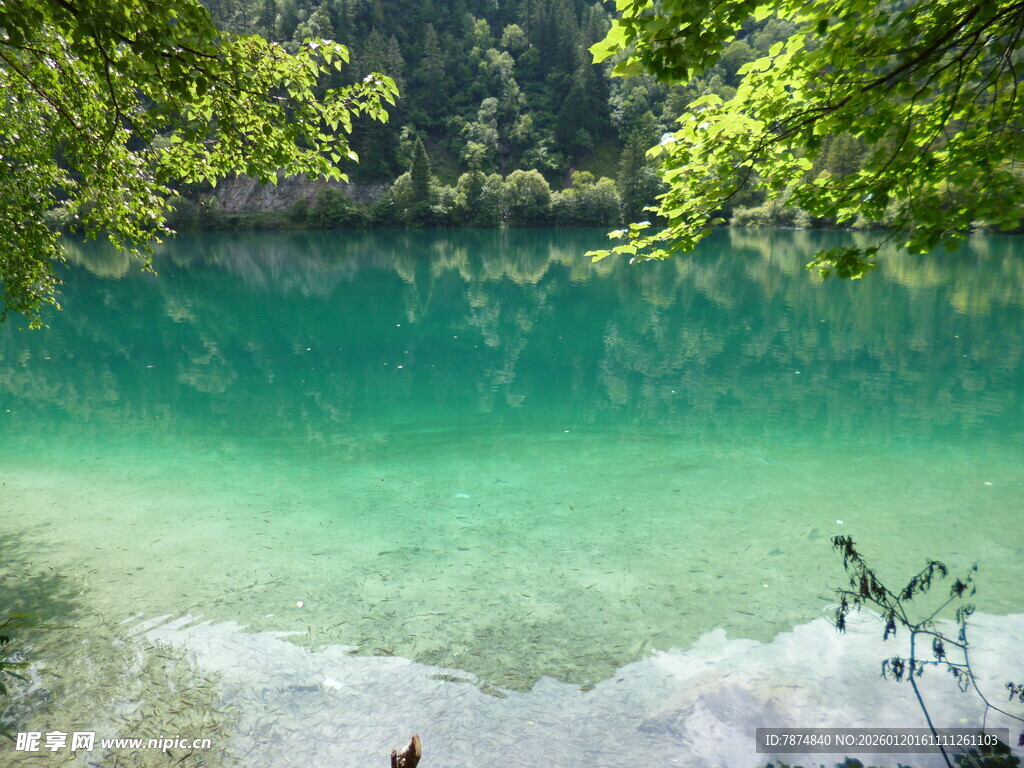 翠绿山林间的澄澈碧潭