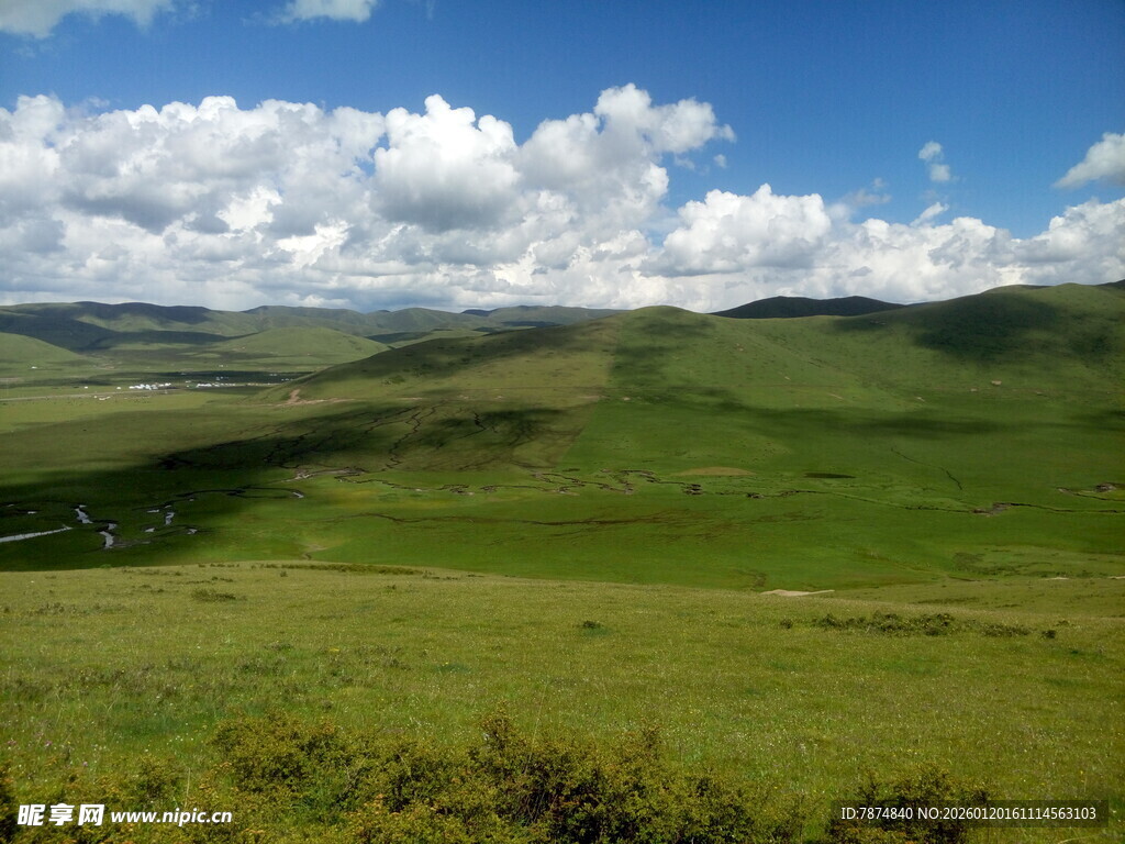 草原风光 蓝天白云绿意浓