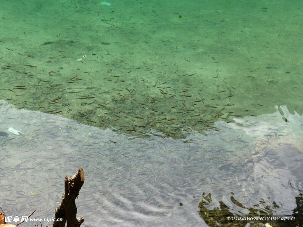 清澈海水与岸边景象