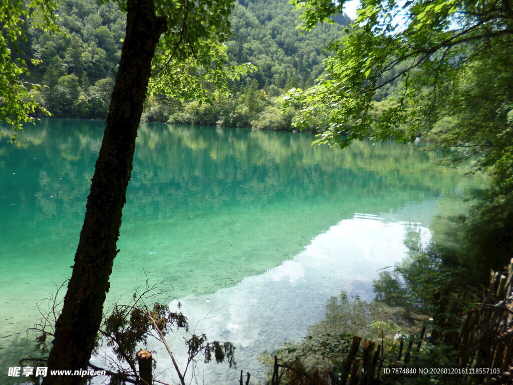 翠绿山林间的澄澈湖水