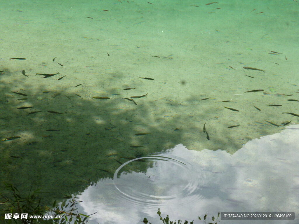 清澈水底与漂浮白云景象