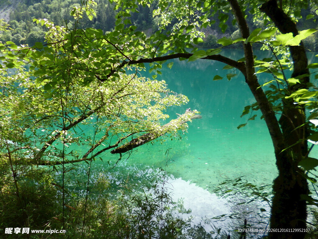 湖畔绿意盎然的迷人景致