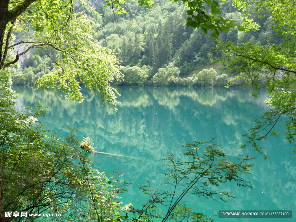 梦幻蓝湖 林间静谧美景