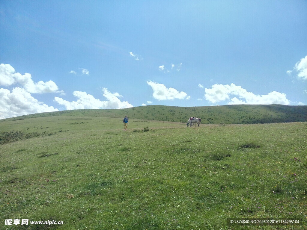 草原风光 远处羊群点缀