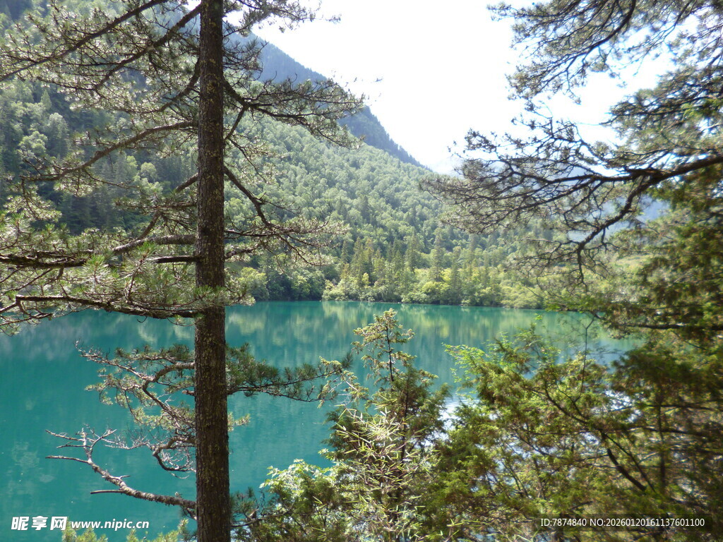 山间幽蓝湖泊与葱郁林木