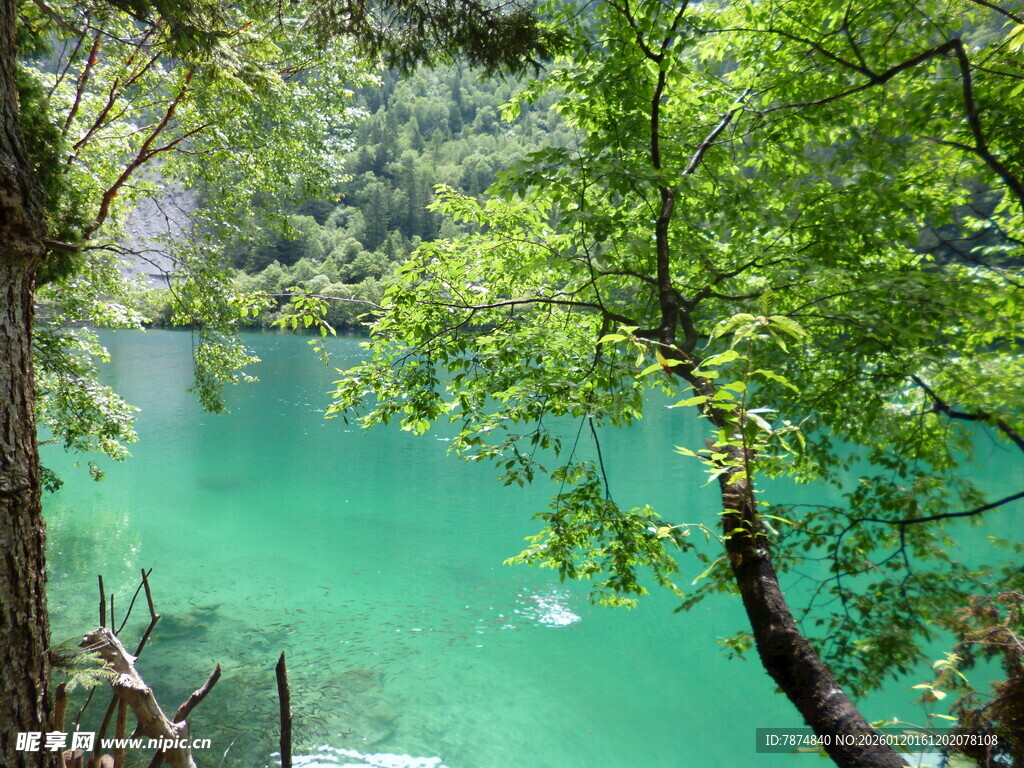 翠绿山林间的澄澈碧湖