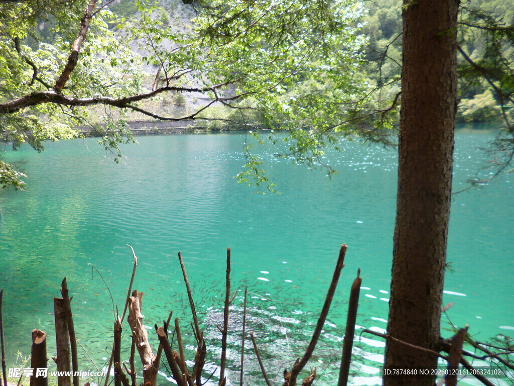 湖畔绿意盎然的静谧景致