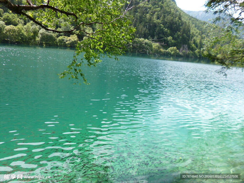 碧绿湖水的自然美景