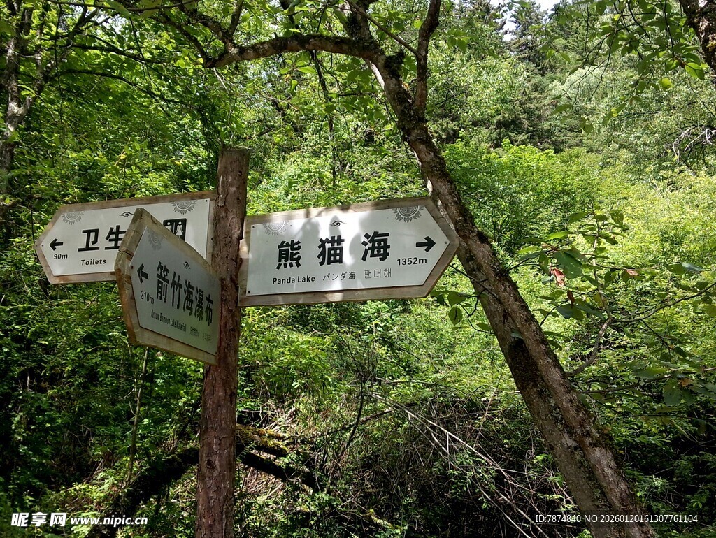 林间路标指引前行方向