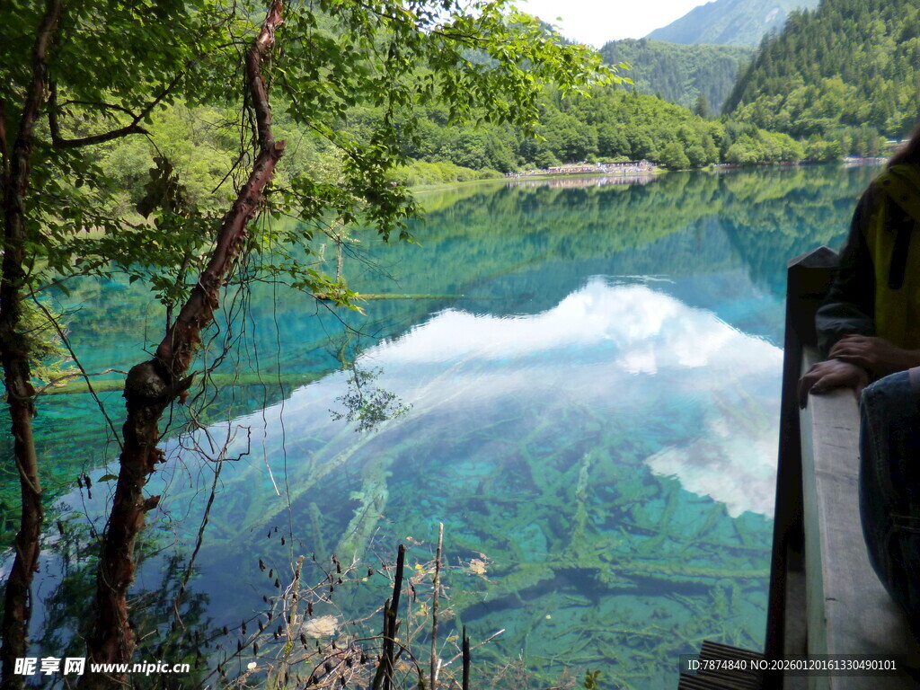 清澈湖景倒映山林美景