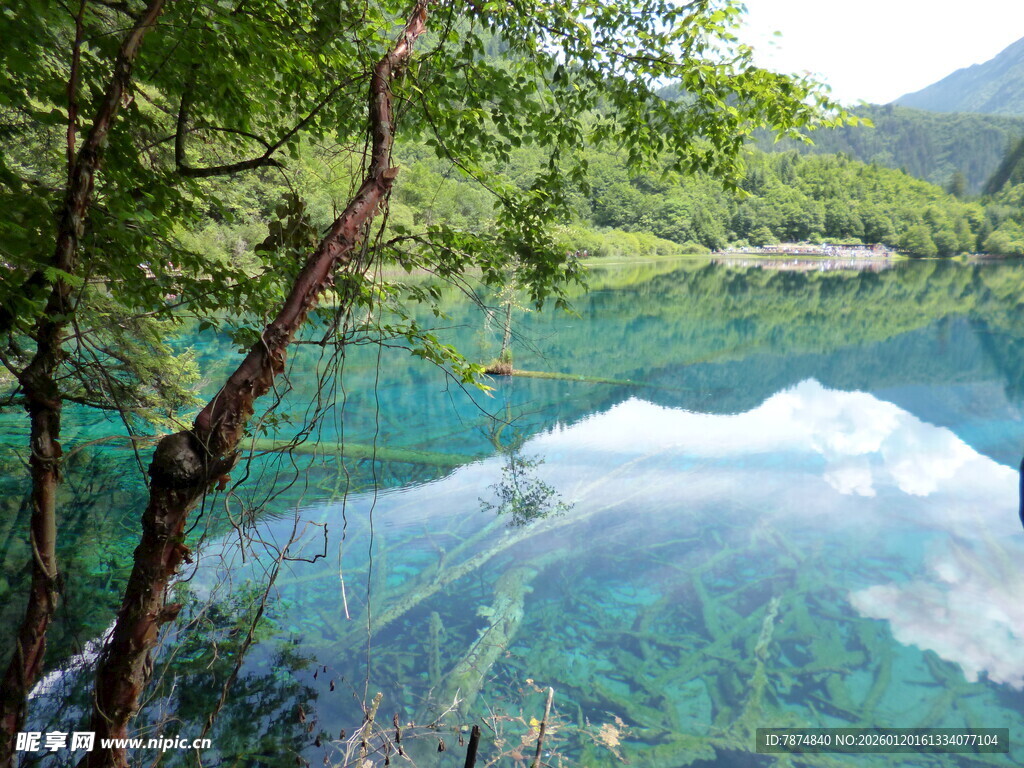 梦幻清澈的山林湖泊美景