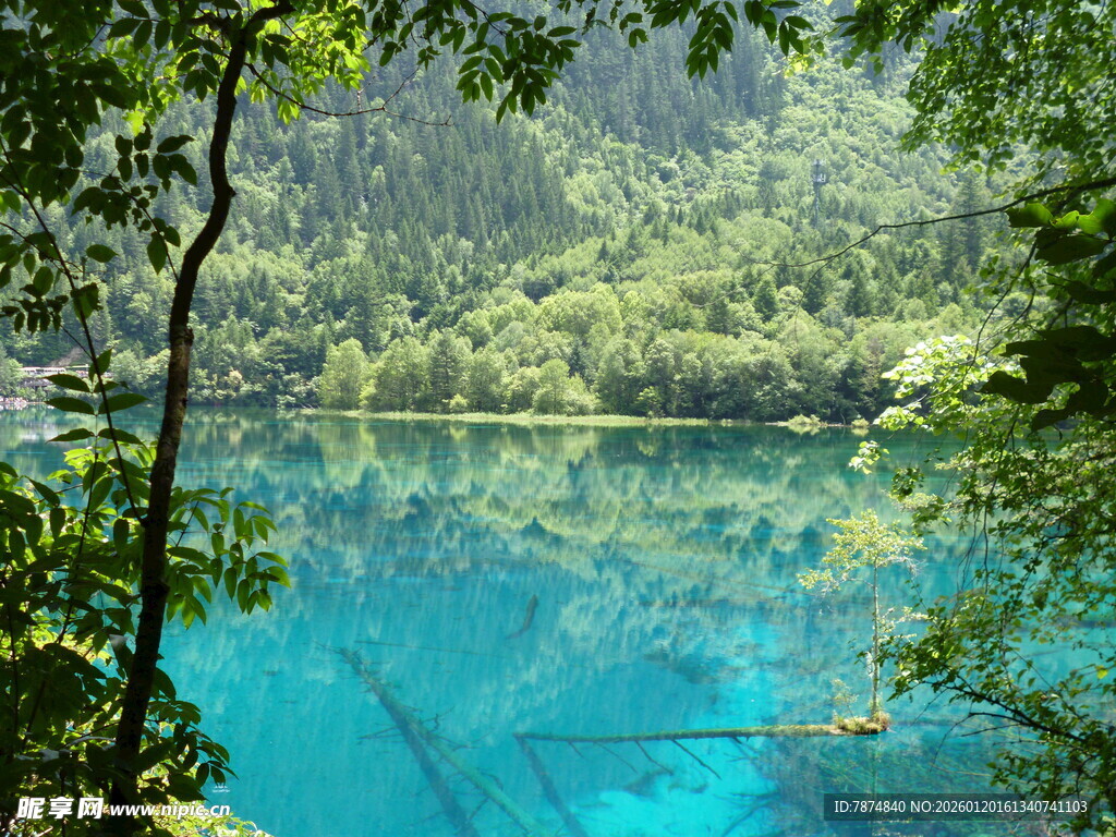 梦幻蓝湖 隐匿于翠绿之间