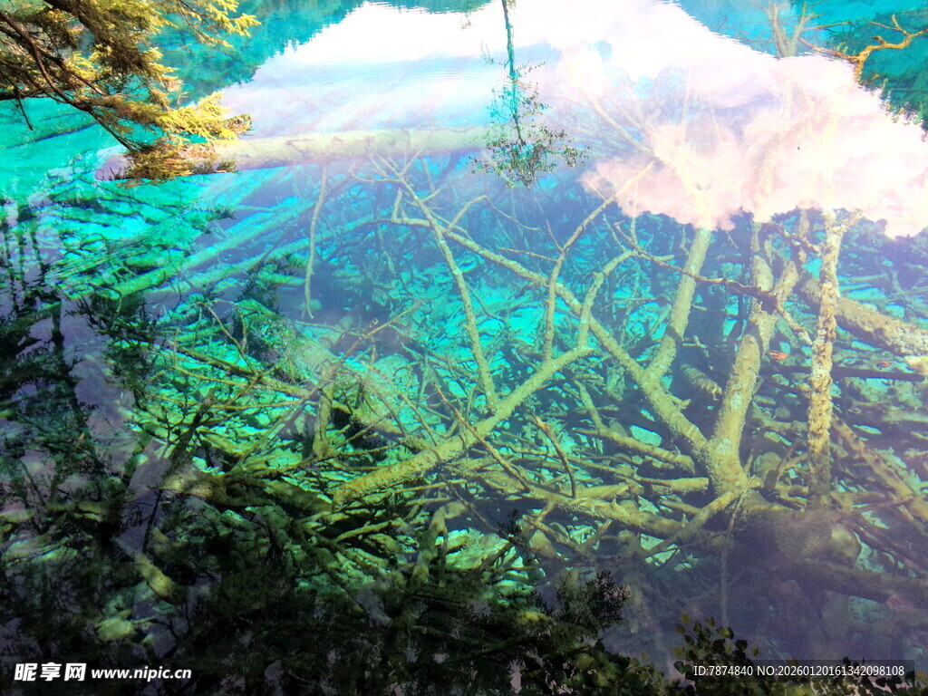 梦幻海底世界的水母景观