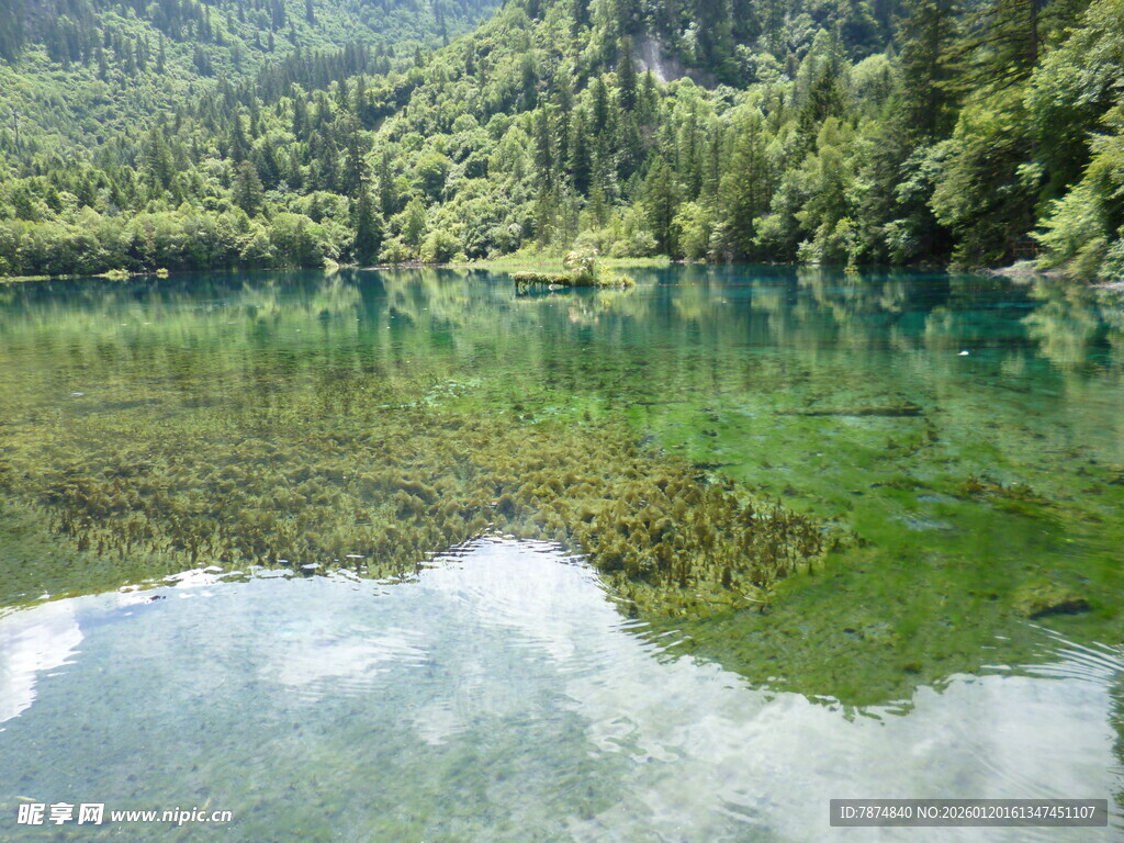 翠绿山林间的澄澈湖水