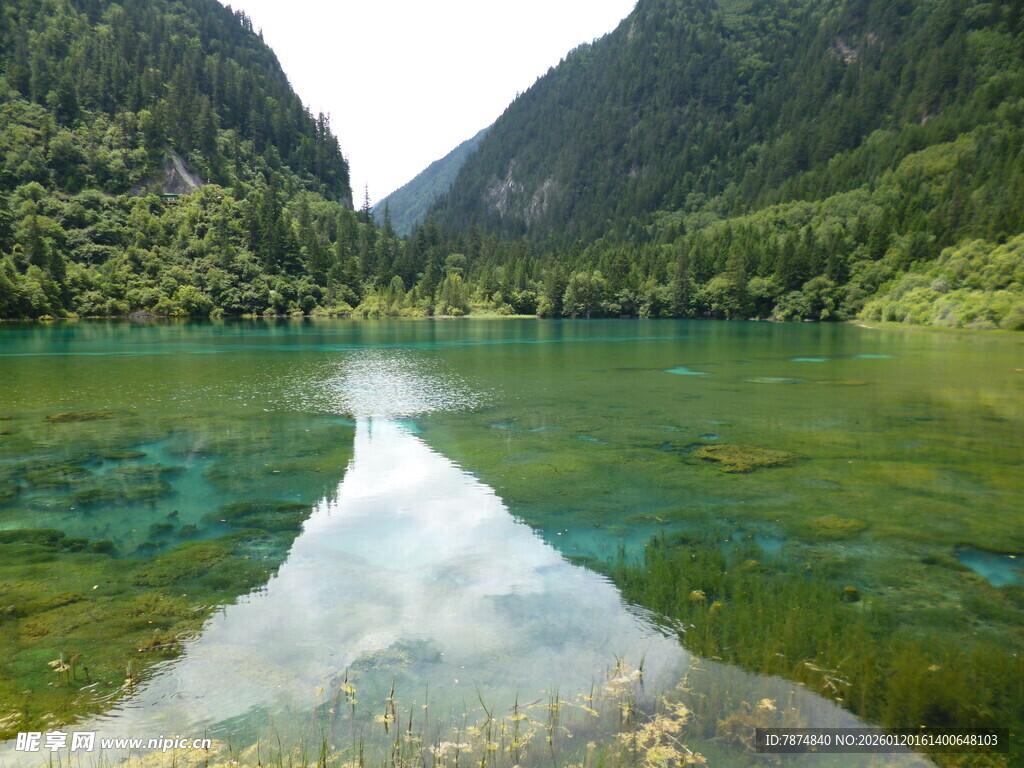 山间碧绿清澈的静谧湖泊