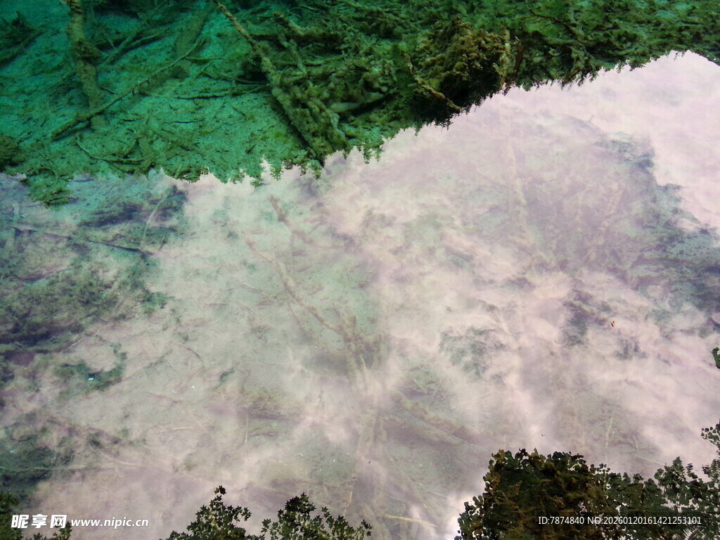 清澈水面倒映绿树景象