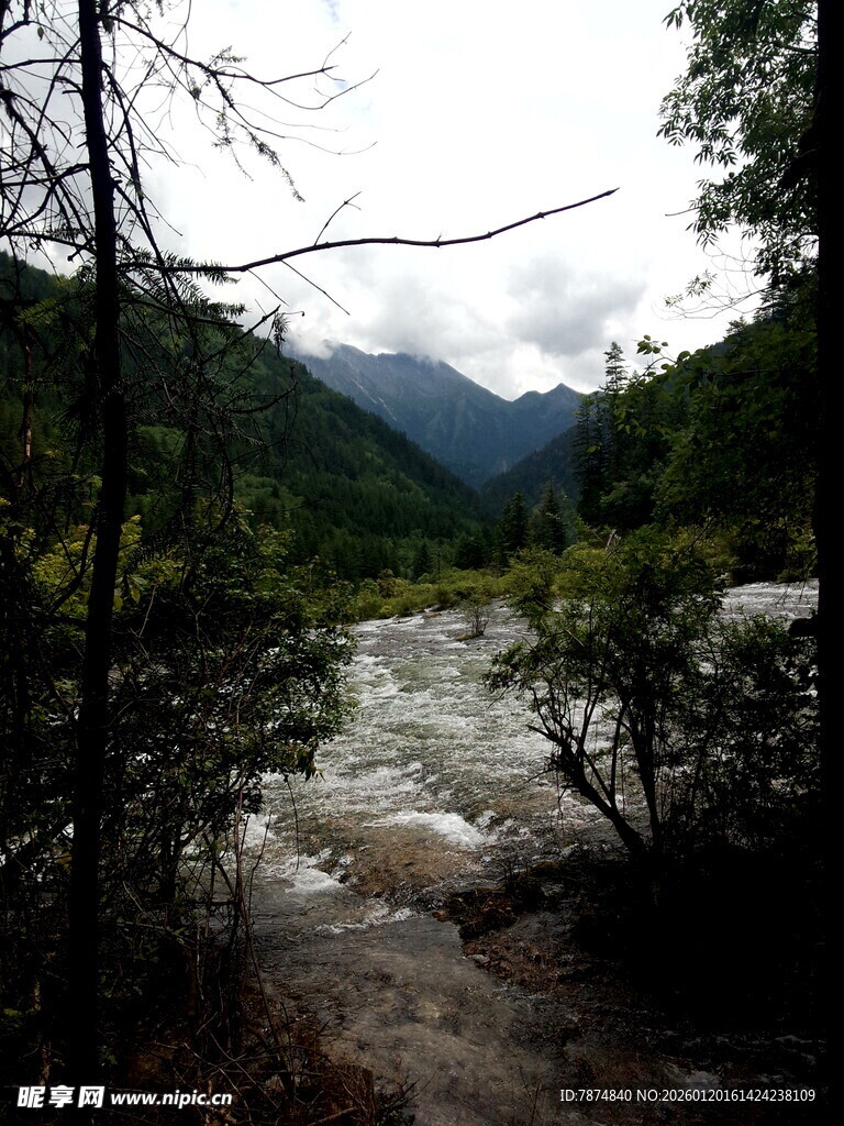 山间溪流 自然美景
