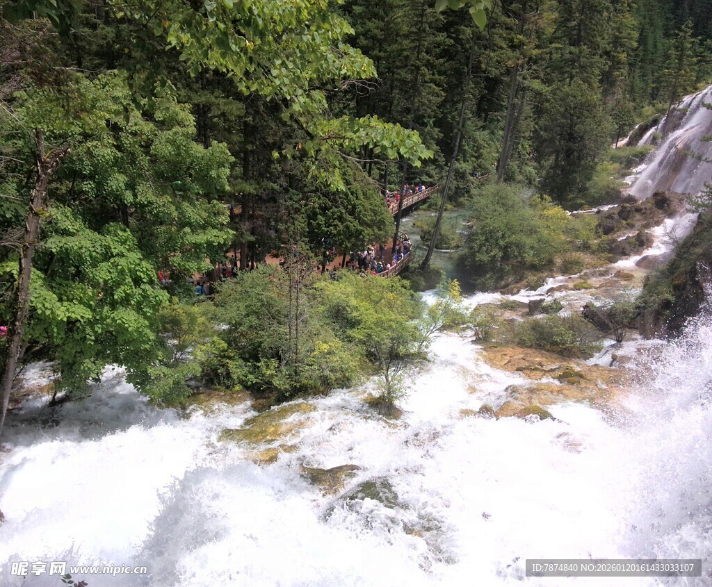 山间溪流旁的葱郁绿植