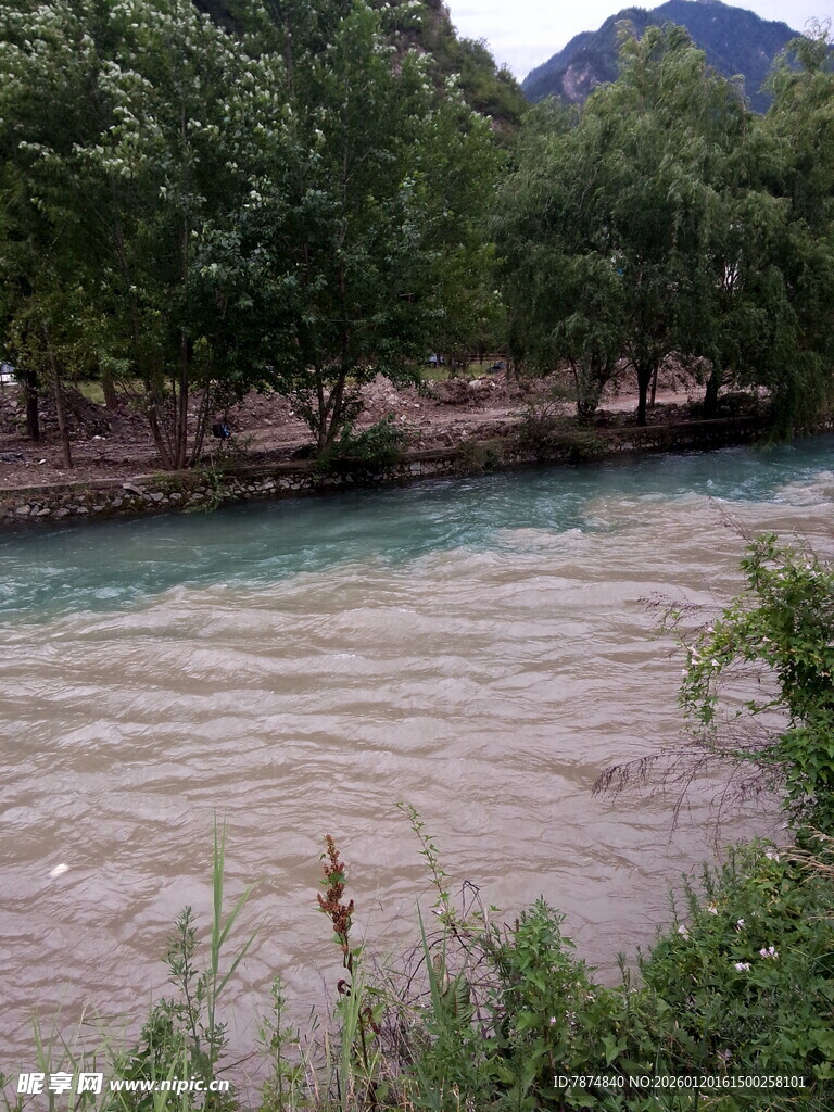 河畔风景 河水与葱郁树木