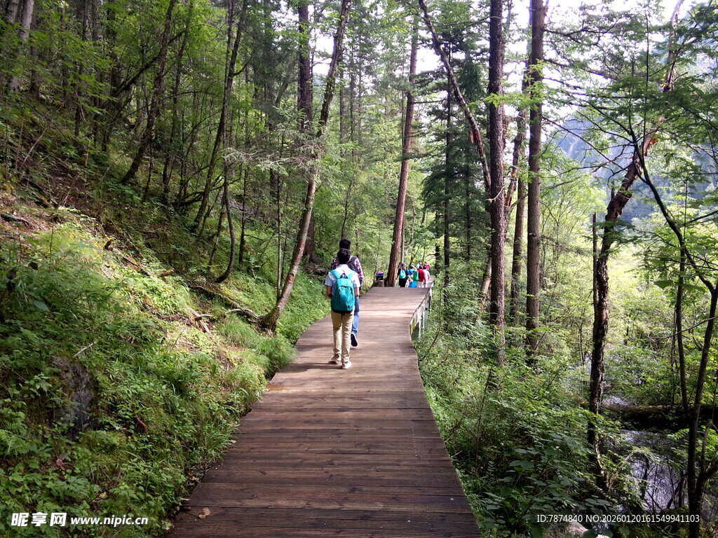林间漫步的徒步者