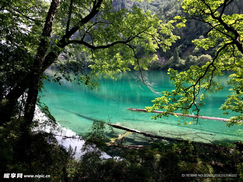 九寨沟的绝美清澈湖水
